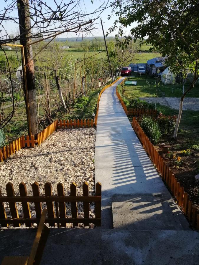 Apartamento Rustic House Turnu Măgurele Exterior foto
