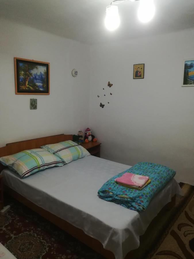 Apartamento Rustic House Turnu Măgurele Exterior foto