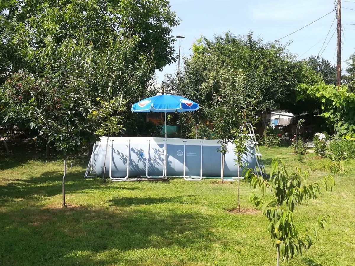 Apartamento Rustic House Turnu Măgurele Exterior foto